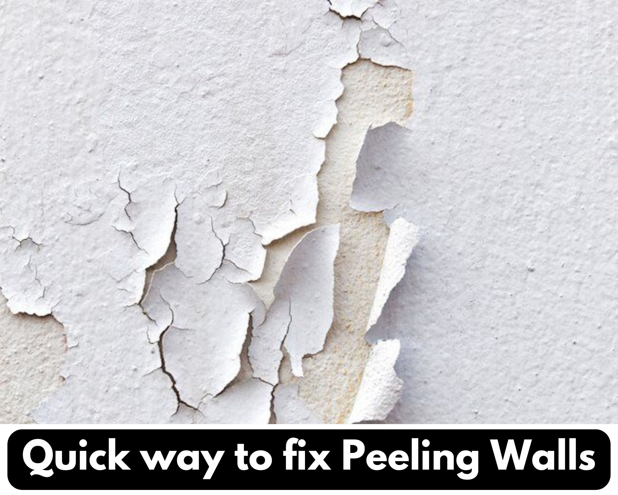 Quick way to fix Peeling Walls