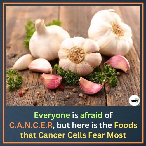 Foods that Cancer Cells Fear Most