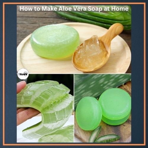 How to Make Aloe Vera Soap at Home