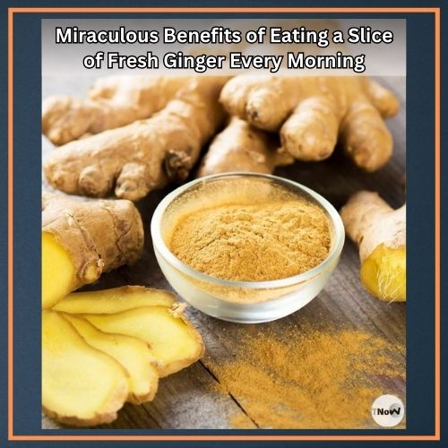 Benefits of Eating a Slice of Fresh Ginger