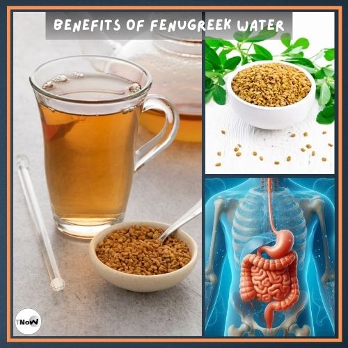 Benefits of Fenugreek Water