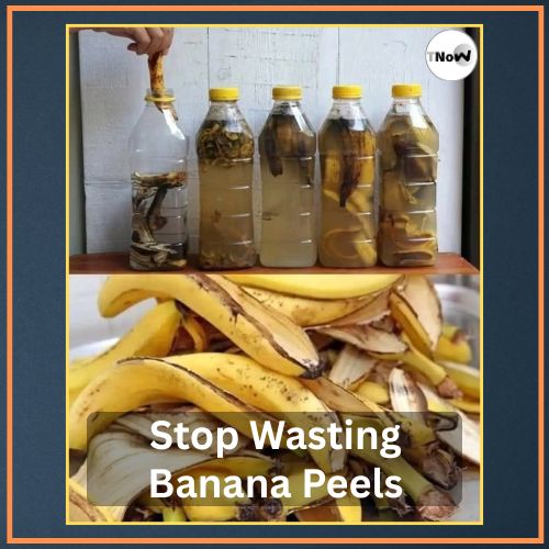 Stop Wasting Banana Peels