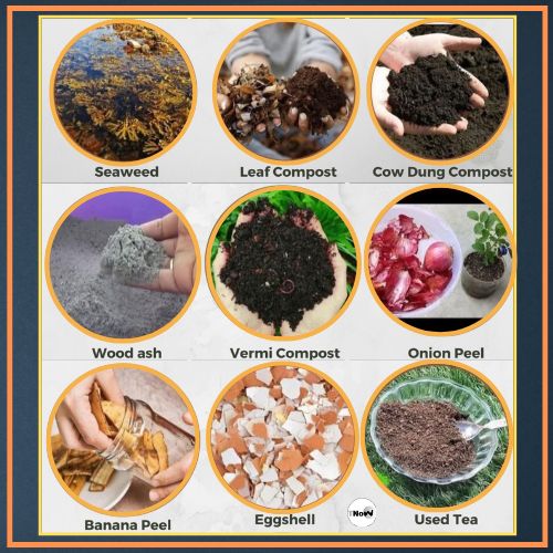 9 Natural Fertilizers