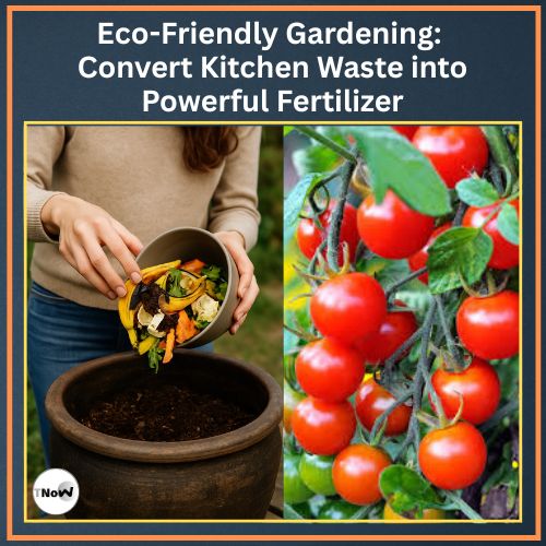 Eco-Friendly Gardening